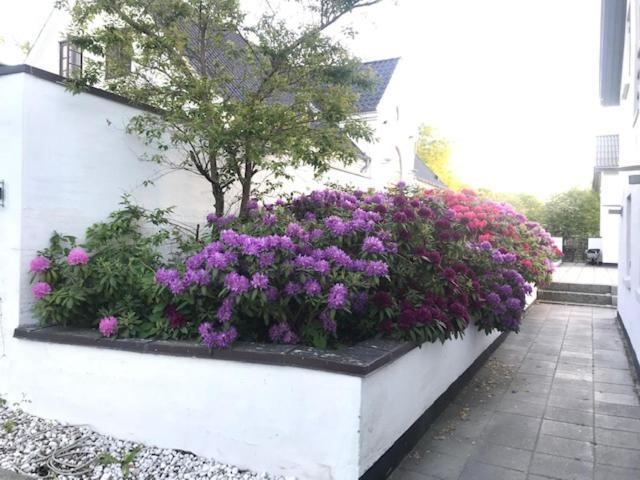 Dreamcenter Ballerup Boulevard Ngoại thất bức ảnh